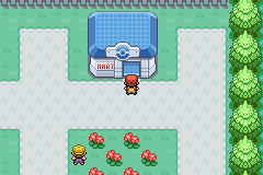 口袋妖怪叶绿中文珍藏版(图4)