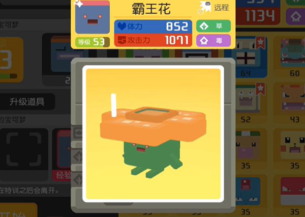 宝可梦大探险网易版(图4)