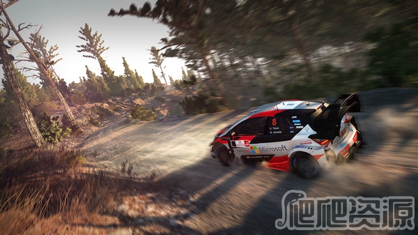 世界汽车拉力锦标赛8(图4)