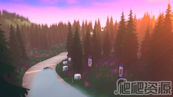 拉力赛艺术(图3) 拉力赛艺术(图3)