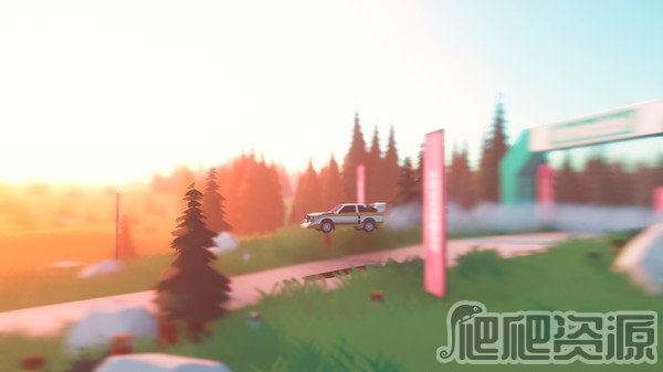 拉力赛艺术(图2) 拉力赛艺术(图2)