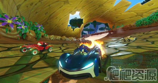 组队索尼克赛车(图3)