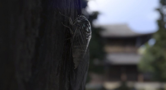 如龙7外传：无名之龙