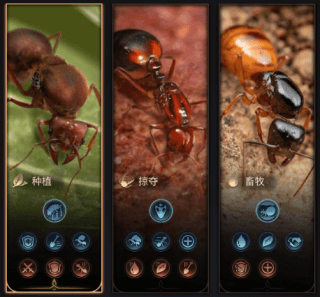 小小蚁国国际版(The Ants)(图3)