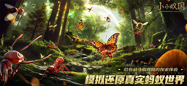 小小蚁国国际版(The Ants)